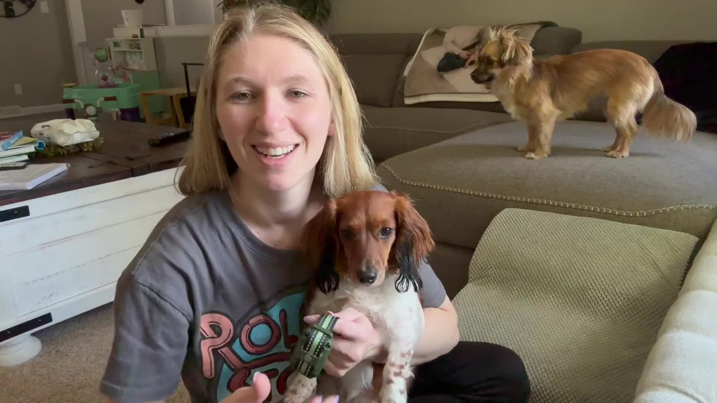 Dog Training Collar with Remote – LED Light, Beep, Vibration & Safe Shock Modes | Waterproof E-Collar for 1