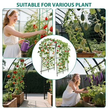 Garden Arch Trellis 7.5ft Tall Metal Climbing Plant Support with Netting for Vegetables Flowers Roses for Garden, Patio and Yard Use