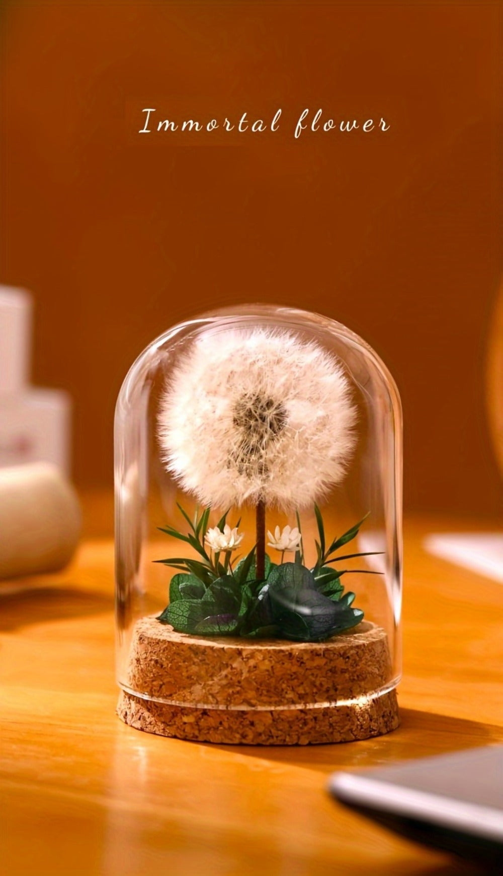 Dandelion Glass Dome Tabletop Decor with White Seed Head, Cork-Look Base, 3.2 x 2.4-Inch Size and Red or Pink Flowers