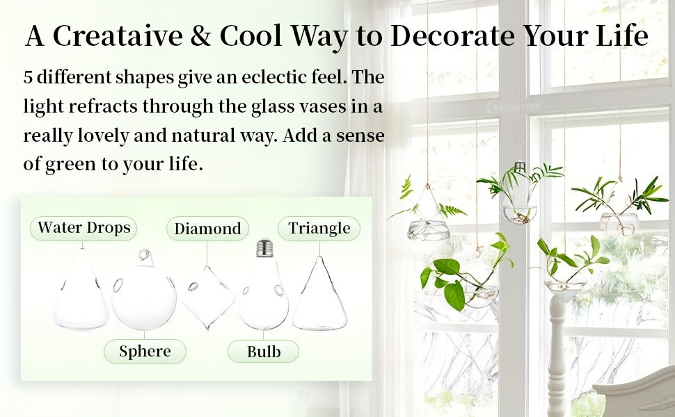 Hanging Planter | Glass Terrarium Hydroponic Air Plant Wall Decor Home