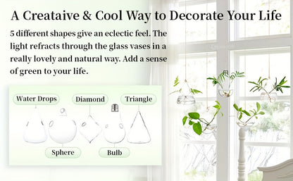 Hanging Planter | Glass Terrarium Hydroponic Air Plant Wall Decor Home