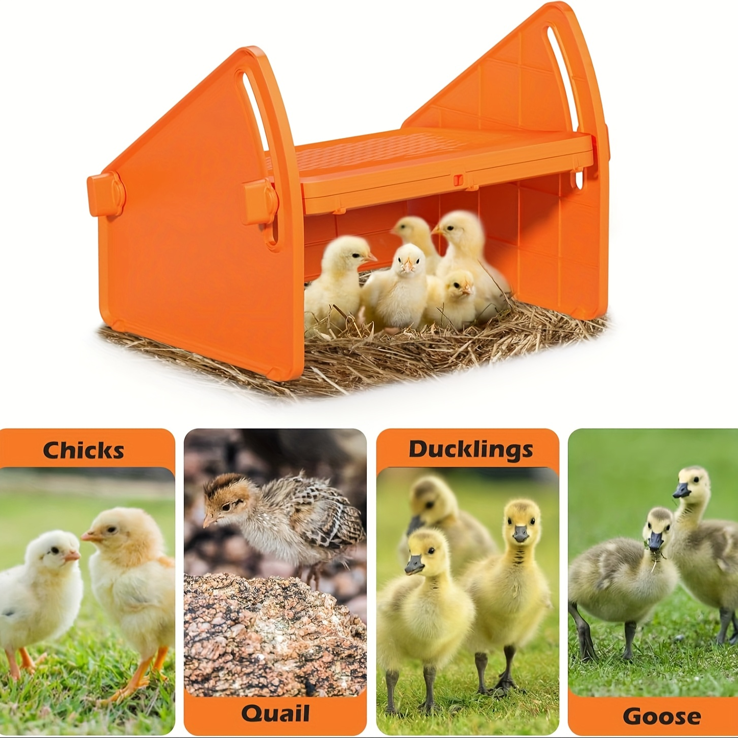 Chick Brooder Plate with Adjustable Height for Up to 10 Chicks, Poultry Warmer for Ducklings, Turkeys
