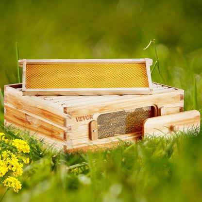 Beehive Kit 10 Frame Cedar Wood Bee Hive with Transparent Windows & Beeswax Coating, for Garden, Yard and Pest Management