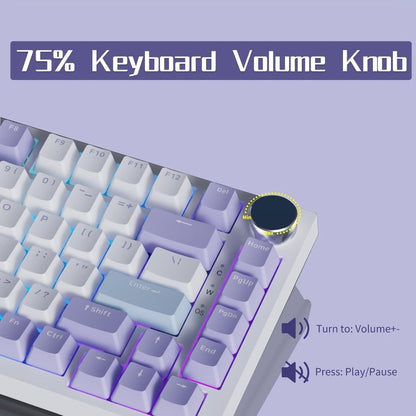 Hot Swap Gasket Mechanical Keyboard AJAZZ AK820 75%, Wireless 2.4GHz & Wired, Volume Knob, South-Facing RGB
