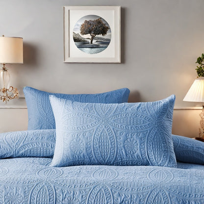 Quilt Set 2-3pcs – Lightweight Microfiber Bedspread Coin Pattern Coverlet All Seasons Twin Full Queen King Cal King