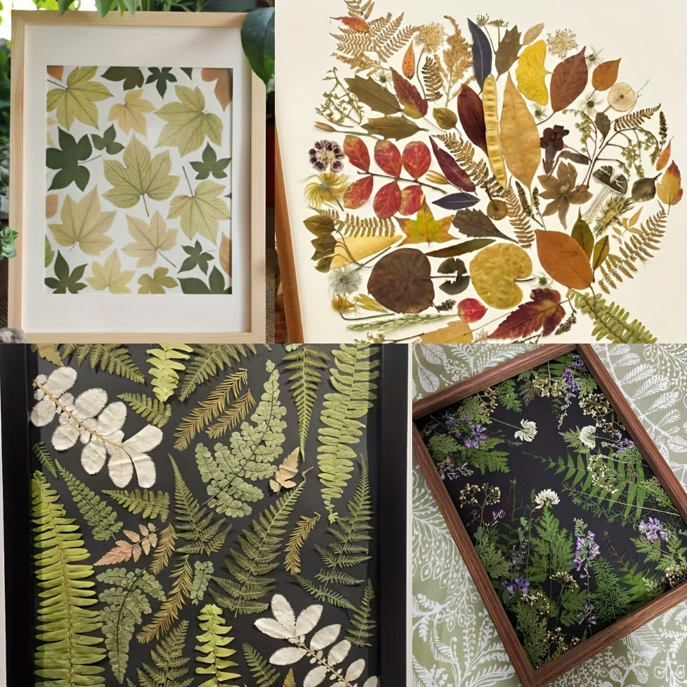 Dried Flower Material Pack 120pcs for Entryways, Bedrooms and Living Spaces, with the Listed Configuration