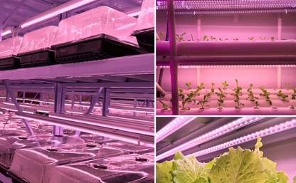 T8 Grow Light Strips 4ft 6-Pack Full Spectrum 270W, Pink White Spectrum LED 1620W Equivalent