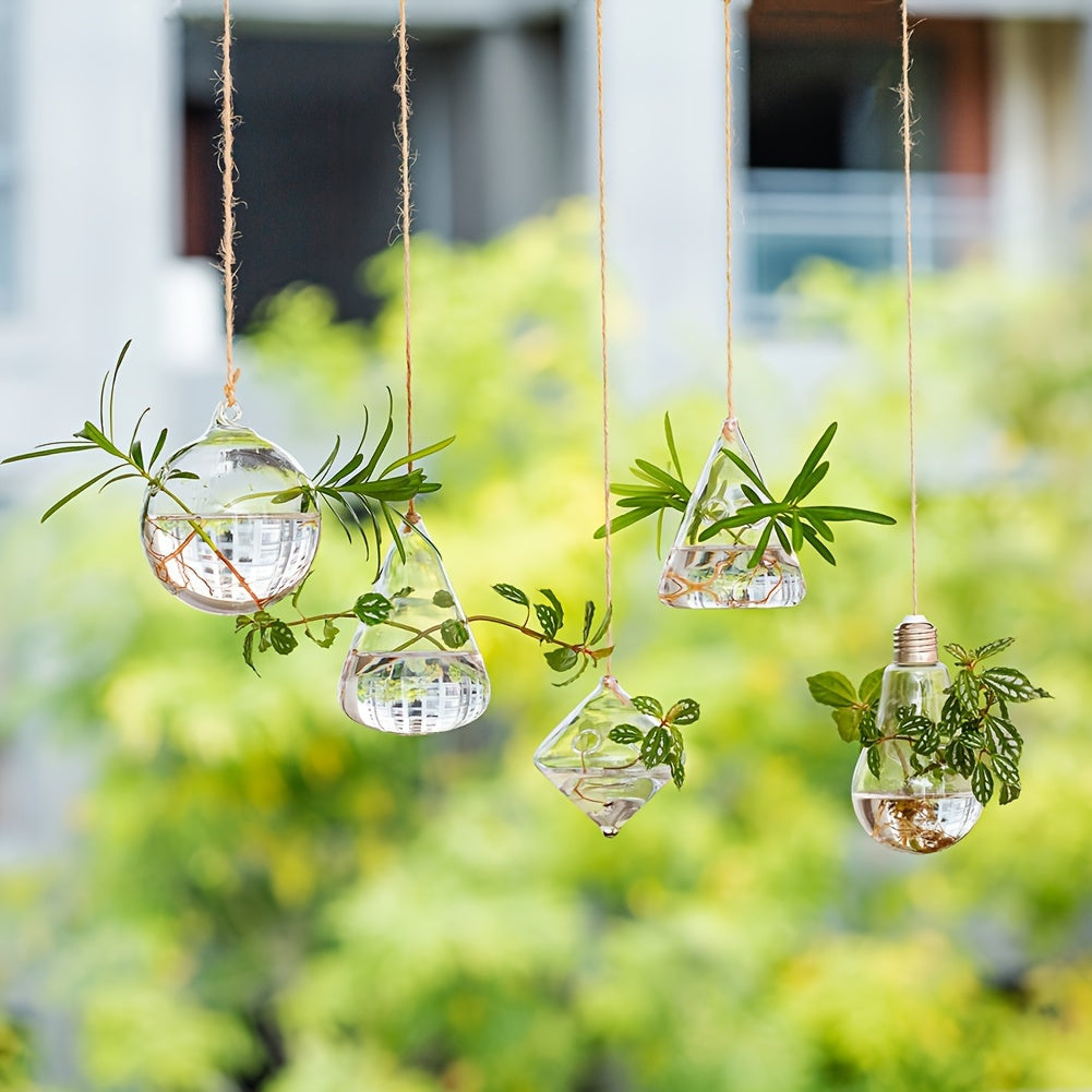 Hanging Planter | Glass Terrarium Hydroponic Air Plant Wall Decor Home