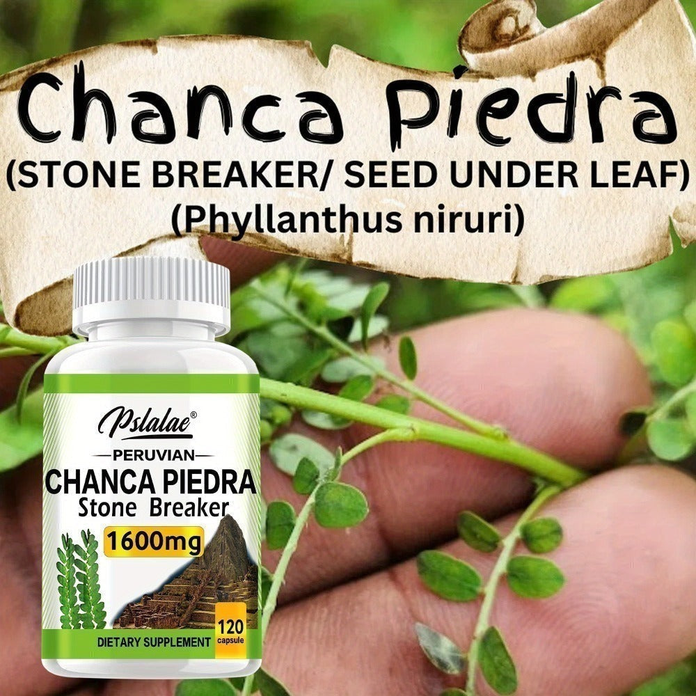 Chanca Piedra Capsules for Liver & Kidney Health, 120 Capsules Natural Urinary Tract Support Supplement