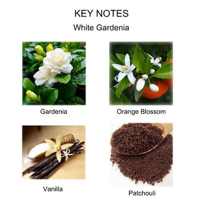 Reed Diffuser Set with Dried Flowers, Jasmine, Cedar, Sandalwood & Gardenia Scents, 120ml 90-Day Home Fragrance