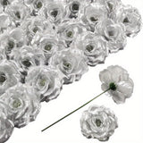 Silvery
