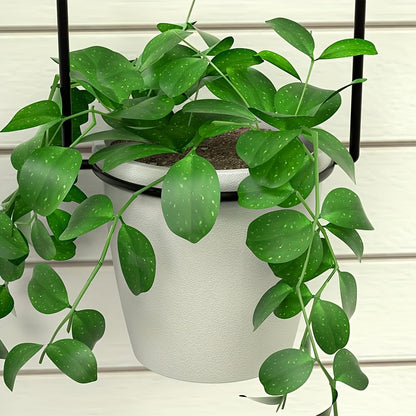 Hanging Planter | Adjustable Metal Wall Rack Indoor Herb Window Pot