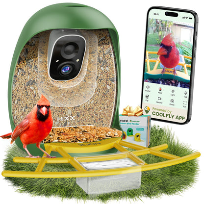 Smart Bird Feeder with Camera AI Bird Identification, 2K HD Live View, Auto Capture & Color Night Vision