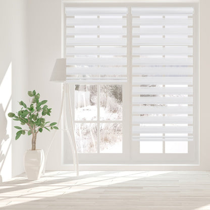 Cordless Zebra Roller Shade with Valance, Day Night Window Blind, Dual Layer Window Treatment Mesh Opaque Fabric