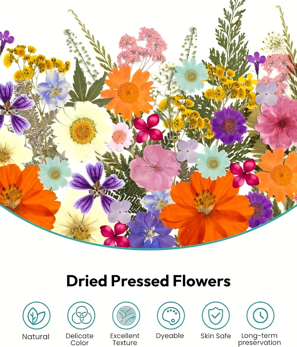 Dried Pressed Flowers Kit 500pcs – Natural Real Flower Petals & Leaves for Resin Art, Nail Art, Jewelry Making, Scrapbooking