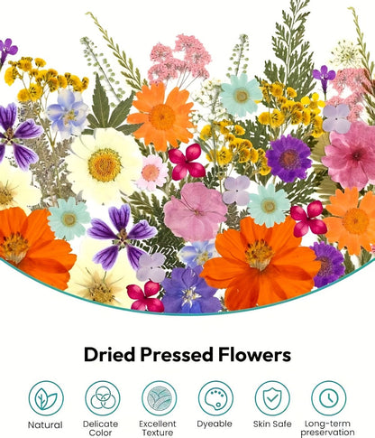 Dried Pressed Flowers Kit 500pcs – Natural Real Flower Petals & Leaves for Resin Art, Nail Art, Jewelry Making, Scrapbooking