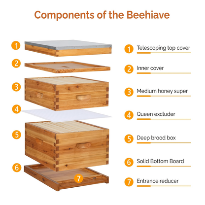 Langstroth Bee Hive Kit Wax Coated Wood 10-Frame 3-Layer Frames for Everyday Face, Beard and Body Grooming