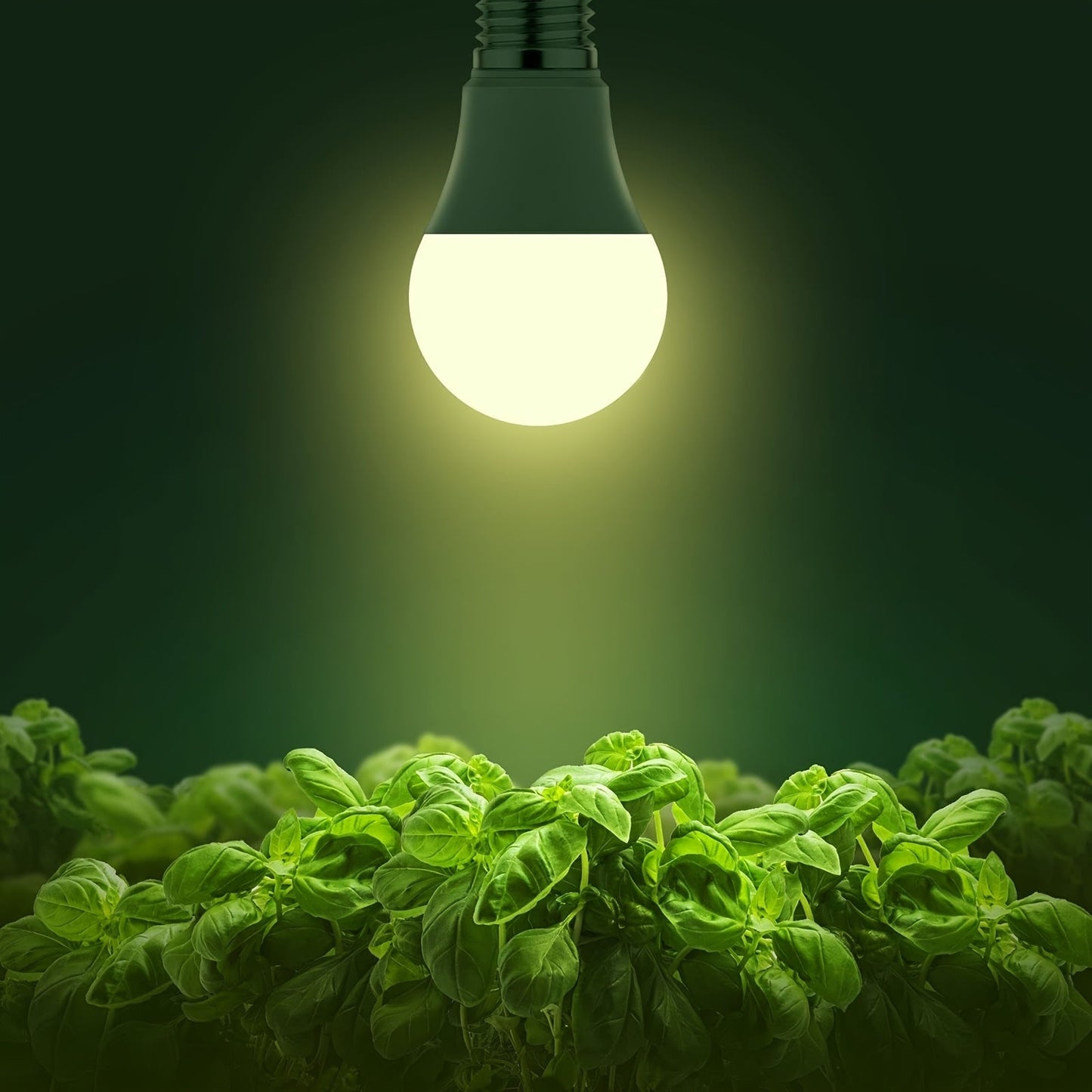 Grow Light Bulb A19 E26 Full Spectrum 9W 100W Equivalent | Natural White 4000K LED Plant Bulb for Indoor Plants Seed Starting | 2 4 6 12
