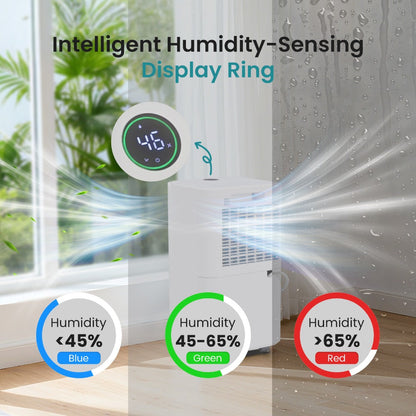 Dehumidifier for Basement 50 Pint 5500 Sq Ft with Drain Hose, Portable Home Dehumidifier for Large Room Bedroom Bathroom