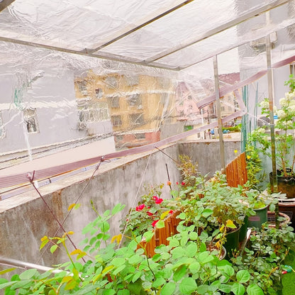 Clear Tarp Transparent PE Tarpaulin with Grommets, Rainproof Cover for Porch Canopy Henhouse Plant Camping & Outdoor Garden