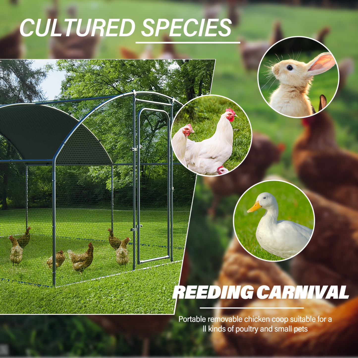 Walk-in Chicken Pen Large Metal Outdoor Poultry Enclosure Cover Yard Cage for Chickens Ducks Rabbits 3 Sizes Available