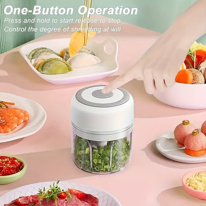 Electric Garlic Chopper & Mini Food Processor, Rechargeable USB Portable Garlic Mincer with 2-Cup Container
