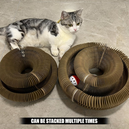 Cat Scratching Board Foldable Organ Design with Circular Ball Track & Bell Balls – Wear-Resistant Thickened Cardboard Scratcher