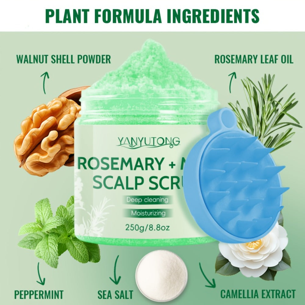 Rosemary Mint Scalp Scrub with Massage Brush 250g, Deep Cleansing Hair Scalp Exfoliator, Removes Buildup & Purifies for Oily