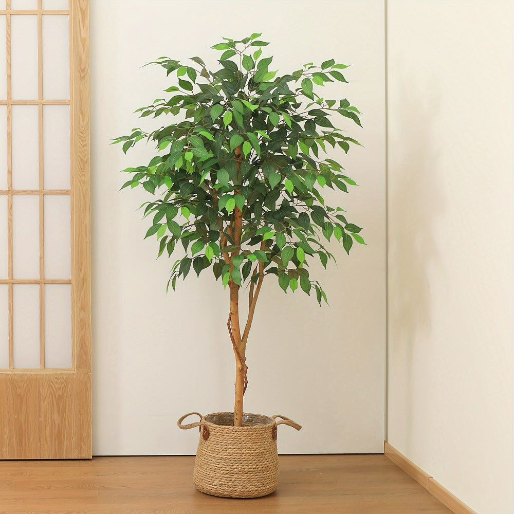 Artificial Ficus Tree with Braided Trunk, Full Green Canopy, Black Pot and 4, 5 or 6 ft Height Options