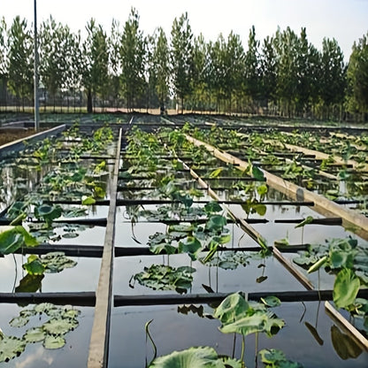 Geomembrane Pond Liner Large – Anti-Seepage Fish Pond Membrane