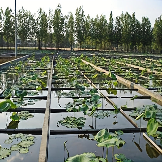 Geomembrane Pond Liner Large – Anti-Seepage Fish Pond Membrane