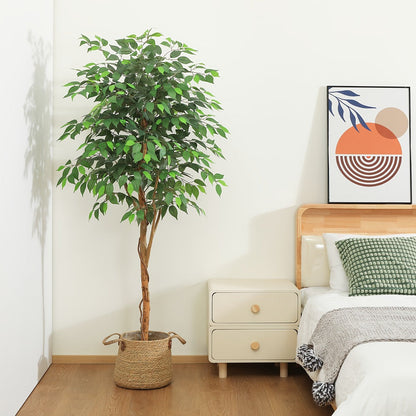 Artificial Ficus Tree with Braided Trunk, Full Green Canopy, Black Pot and 4, 5 or 6 ft Height Options