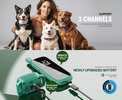 Dog Training Collar Green Remote Set with 730-Meter Range, Three Cue Modes and Two- or Three-Receiver Options