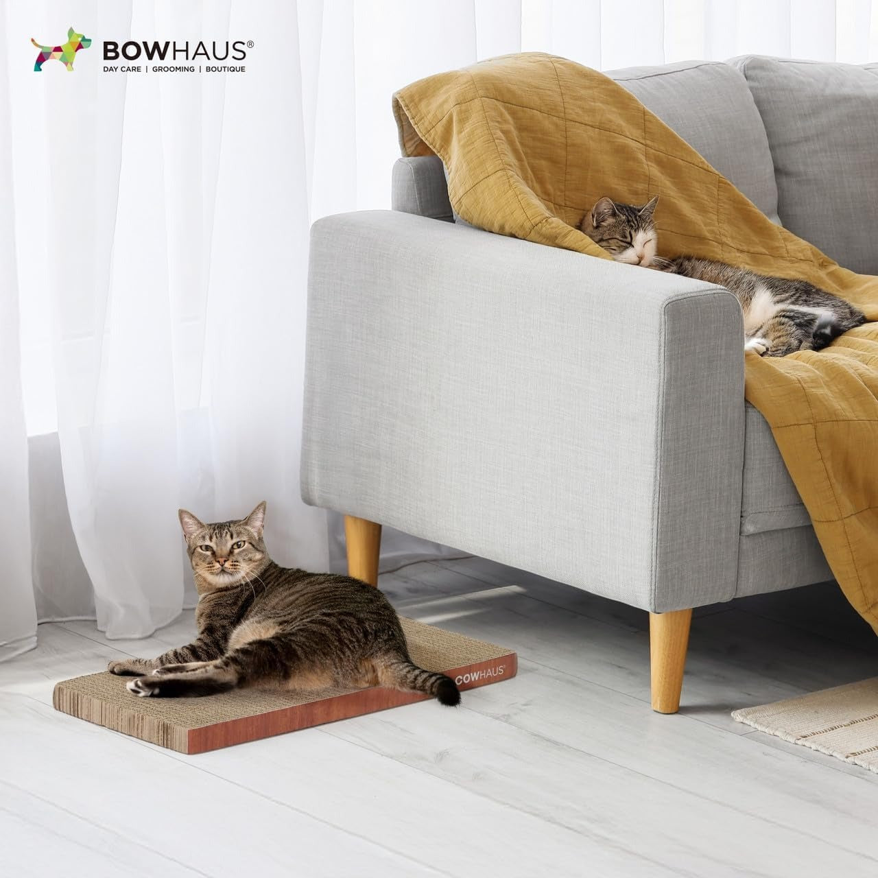 Cat Scratcher Lounger Reversible – Large Cardboard Cat Scratching Pad & Board for Indoor Cats, 5-Layer Durable Construction