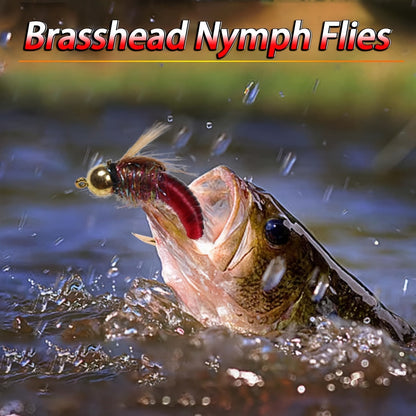 Trout Fly Fishing Flies Kit 24pcs – Brass Bead Head Caddis Nymph Lures Mixed Styles with Tackle Box, High Carbon Steel #10 Hooks for Bass
