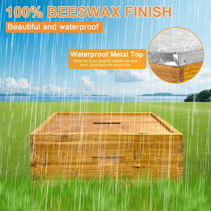 Langstroth Beehive Kit 3 Layer Beeswax Coated 2 Deep Boxes & 1 Medium Super — No Frames
