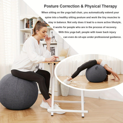 Fitness Equipment 65cm Exercise Ball with Fitted Fabric Cover Carry Handle Pump and Two Colors