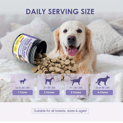 Dog Anal Gland Support Chews 120ct – Fiber Supplement for Scooting Relief with Pumpkin, Psyllium Husk, Probiotics & Dandelion