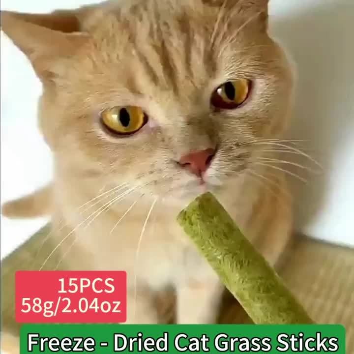 Cat Grass Freeze-Dried Sticks – Natural Dental Chew Snacks for Cats, Hairball Removal & Teeth Cleaning, Consumable Cat Grass Chew Toy (15