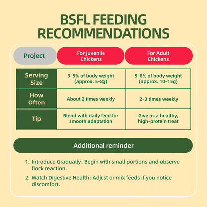 Dried Black Soldier Fly Larvae for Chickens – High Protein BSF Larvae Treats with Calcium for Laying Hens Ducks Quail Birds Reptiles Non-GMO