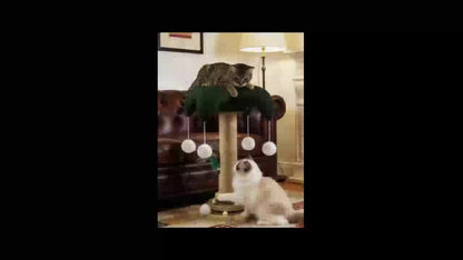 Cat Scratching Post Sisal Vertical Clown Hat Design, Wear-Resistant Cat Scratch Board with Cat Climbing Frame & Teaser Toy