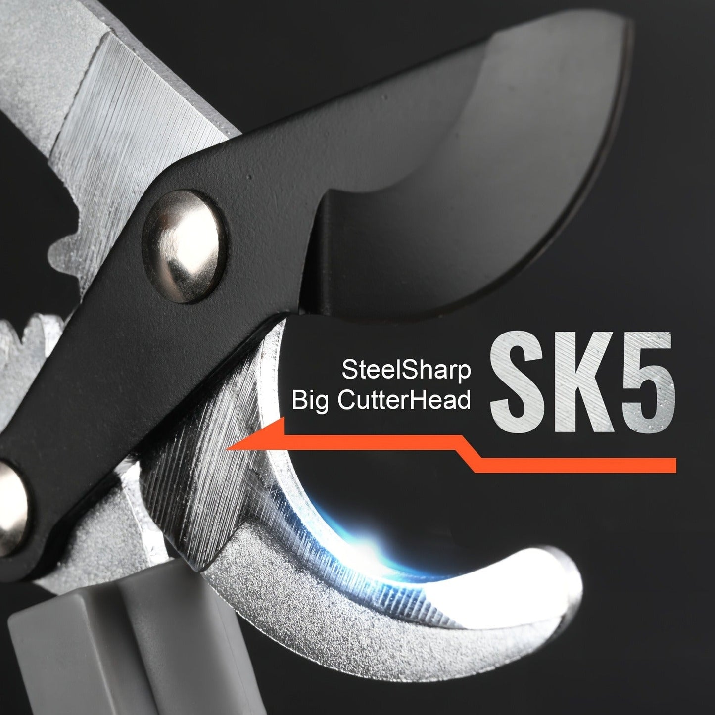 Long Reach Pruning Shears 18-38 Inch Extendable – Non-Stick Steel Blades Cut 2" Branches, Shock-Absorbing Handle