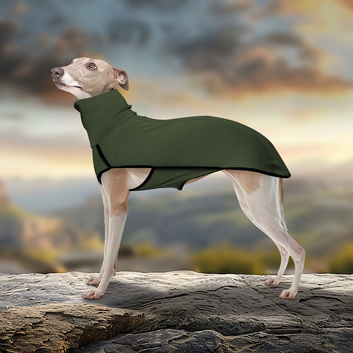 High Neck Dog Coat Warm Pullover – Solid Color Woven Polyester Pet Jacket, Machine Washable, All-Season Fall & Winter Dog Apparel