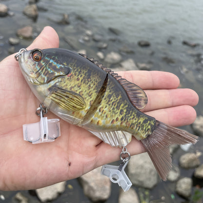 Realistic Hard Fishing Lure 14.5cm Transparent Green Blue Body Large Eyes Sharp Hooks Natural Pattern for Bass Pike Trout Beginners