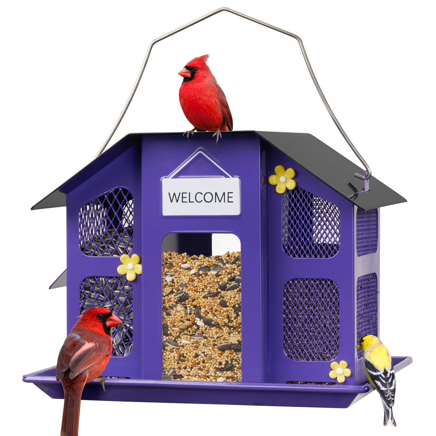 Metal Bird Feeder for Outside – 4 Lbs Large Capacity Hanging Wild Bird Feeder, for Garden, Yard and Pest Management