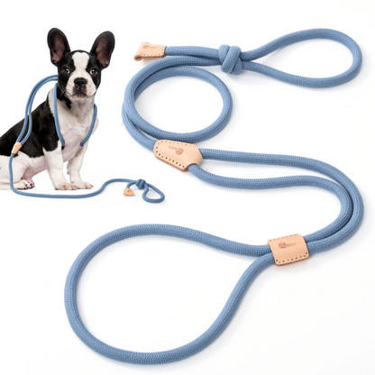 Dog Slip Leash and Harness 2-in-1 Rope Lead – No Pull All-in-One Training Leash for Puppies & Small Dogs, Adjustable Slip Lead with Soft
