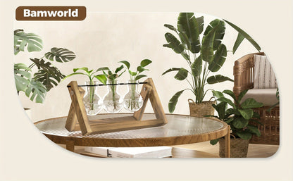 Glass Terrarium Heart Shaped Hydroponic Vase with Wooden Stand – Elegant Plant Propagation Station for Home Decor
