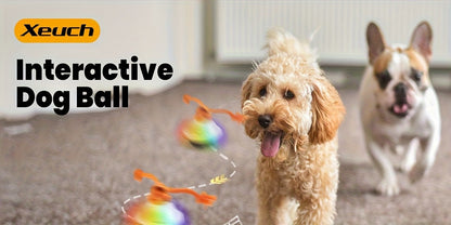 Automatic Rolling Dog Ball Toy with Rope – Motion-Activated Wicked Ball with Voice Recording, Interactive Self-Moving Stimulation Toy
