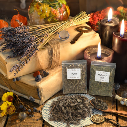 Dried Herbs & Flowers Magic Supplies Kit 40 Pack, Witch Starter Set for Rituals, Spells, Candle & Soap Making