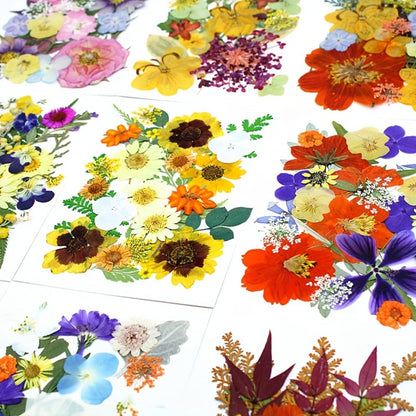 Dried Pressed Flowers Kit 500pcs – Natural Real Flower Petals & Leaves for Resin Art, Nail Art, Jewelry Making, Scrapbooking